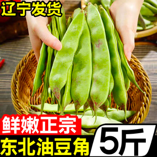 东北油豆角5斤新鲜现摘蔬菜一点红油豆角，九月青黑龙江整箱10