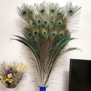 孔雀毛真羽毛家里摆设的装饰品客厅摆件大件插孔雀毛羽毛的花