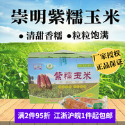 新货上海崇明紫糯玉米，熟玉米棒真空包装2kg4斤甜香糯玉米礼盒