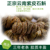 紫皮石斛枫斗鲜条四年仿野生石斛铁皮枫斗非霍山铁皮石斛鲜条500g