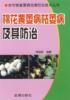 文农作物重要病虫害防治技术，丛书:棉花黄萎病，枯萎病及其防治9787508257044