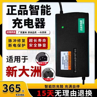 适用新大洲电动车电瓶充电器，48v12ah60v20ah72v32a新国标(新国标)公插