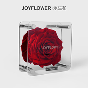 joyflower十二星座永生花玫瑰干花生日礼物天蝎座送女生朋友闺蜜