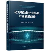 动力电池技术创新及产业发展战略(精)杨全红普通大众蓄电池产业发展研究中国经济书籍