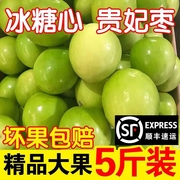 正宗福建漳州贵妃牛奶蜜枣新鲜水果现摘枣子脆甜整箱苹果青枣