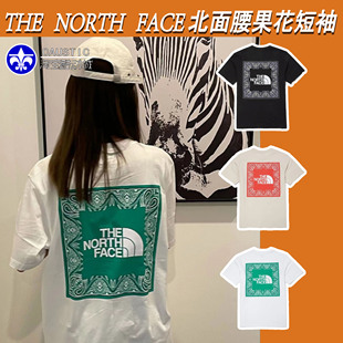 The North Face北面短袖女2023年夏季TNF腰果花T恤男纯棉NT7UN47A