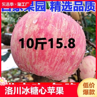 正宗陕西洛川苹果水果新鲜当季红富士冰糖心丑苹果整箱10斤