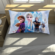 艾莎公主枕套冰雪奇缘女孩儿童卡通，枕头套爱莎公主风一只个迪斯尼