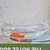 透明玻璃器皿花瓶水仙水培盆铜钱草碗莲水培花盆水培植物花瓶鱼缸