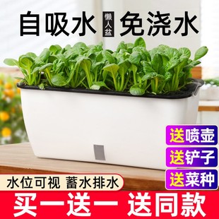 种菜神器花盆栽蔬菜种植箱，家庭阳台塑料自吸水懒人长方形专用箱大