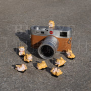 秋田犬创意可爱卡通单反微单相机装饰热靴保护盖适用佳能索尼康