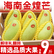 海南特产金煌芒三亚芒果当季新鲜水果特大水仙金黄芒礼盒10斤