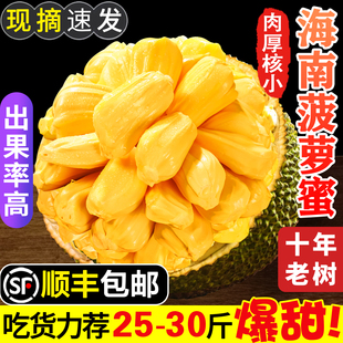 海南菠萝蜜新鲜一整个三亚特产红黄心，波罗蜜当季水果整箱