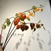 仿真灯笼果野果浆果，红红火火橘色系列树叶，素材假花花瓶装饰样板房