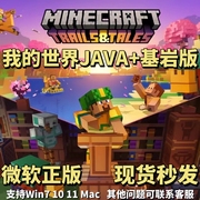 我的世界 Java+基岩正版账号 Minecraft PC国际服 微软游戏