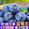 云南蓝莓新鲜当季水果蓝梅鲜果高山怡颗甜蓝莓孕妇即食大果速发