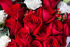 沈阳鲜花香槟玫瑰花束19朵红玫瑰花情人节沈阳花店