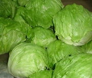 新鲜汉堡球生菜沙拉菜 农家种植带箱5斤 圆生菜西生菜蔬菜