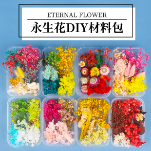 天然干花永生花假花仿真花，儿童手工diy幼儿园自制团扇贴画材料包