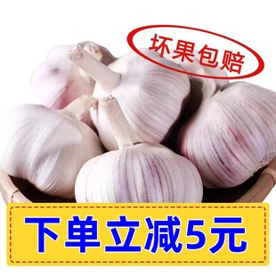 农家干大蒜头，河南杞县特产2022年蒜头新鲜白紫皮低价，干蒜5斤
