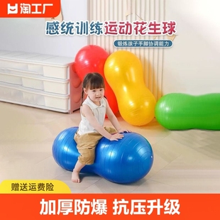 感统训练器材儿童家用宝宝，平衡大龙瑜伽花生球，早教玩具防爆按摩