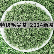 浓香型都匀毛尖茶2024新茶明前特级茶叶手工高山云雾绿茶散装500g