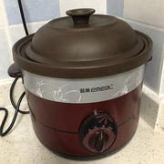 养生电炖锅多功能家用煲汤炖汤锅大容量煮粥陶瓷，煮绿豆汤的锅
