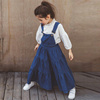 17韩国童装女童秋冬季牛仔裙纯棉中大儿童，个性背带大摆连衣裙