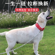 狗链子大型犬铁链子中型犬，项圈小型犬狗狗，牵引绳宠物狗绳牵狗绳