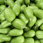 新鲜大绿茄子河南特产绿皮茄子，蔬菜农家自种东北青茄子五斤