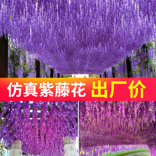 仿真紫藤假花藤条缠绕吊顶，客厅室内婚庆装饰塑料，花串藤蔓植物藤条