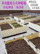 种植箱宽50外户种菜专用箱阳台菜盆楼50-25-00顶长方形蔬菜种植种