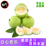 漳州白心芭乐低糖奶油软香番石榴孕妇水果5斤台湾翡翠鸡屎果