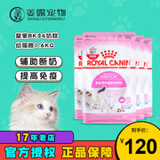 姜露宠物 皇家猫粮BK34猫咪奶糕1.6KG 1-4个月离乳期幼猫专用