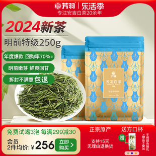 2024年新茶芳羽安吉白茶，正宗明前特级嫩芽250g散装茶叶高山绿茶