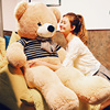 超大号熊公仔(熊公仔)泰迪熊，玩偶熊猫布娃娃女生，抱抱熊毛绒玩具睡觉抱枕