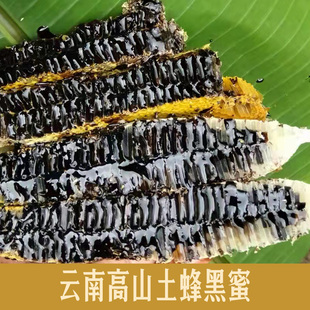 云南高山黑蜜米团花蜜，野生土蜂蜜树洞成熟天然中药材米团花黑蜜