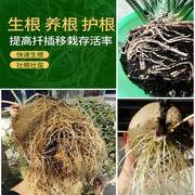 施可丰植物通用生根粉500g生根粉移栽生根快速植物通用发根液