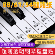 透明钢琴电子琴键盘贴纸88/76/61/54/49键琴键贴五线谱简谱按键贴