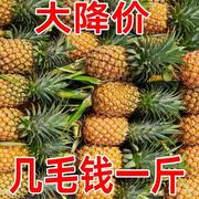 云南香水菠萝山地菠萝新鲜当应季叶酸水果小凤梨3/5/10斤整箱