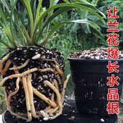 兰花种植专用土兰花土植料花营养土16升土老配兰方营养土兰花。