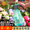 喷壶气压式浇花水壶喷水壶洒水家用清洁喷雾器浇水高压力消毒神器