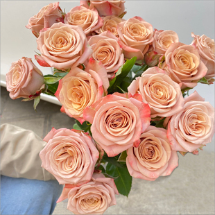 玫瑰鲜花花束云南直发，速递同城卡布奇诺戴安娜艾莎520情人节礼物