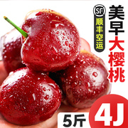 大连美早樱桃5斤新鲜水果，当季整箱孕妇，特大樱桃4j3国产车厘子
