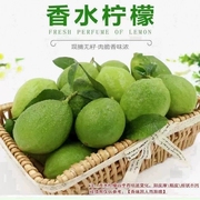 广东香水柠檬一级果 动价5斤装自家果园产地直发手打柠檬茶专用