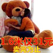 1.8米泰迪熊2米 1.6米瞌睡熊1.2米毛绒玩具布娃娃抱抱熊