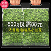 舒城小兰花茶叶2024新茶耐泡散装绿茶春茶安徽茶叶自己喝口粮500g