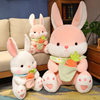 爱妮兔公仔儿童毛绒玩具布娃娃小白兔玩偶陪睡沙发摆件女生礼物