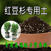 红豆杉土盆栽专用土通用营养土弱酸性花泥绿植土壤有机肥料腐殖土
