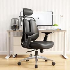 电脑椅人体工学椅久坐护腰家用办公座椅双背椅电竞椅舒服升降椅子